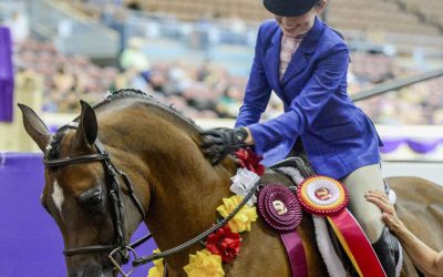 Youth Nationals and Midsummer Show