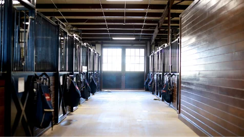 Horse Barn