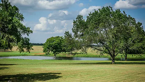 Field