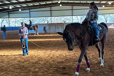 Riding Lessons